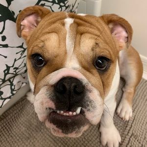 Meet your Posher, Kelsey